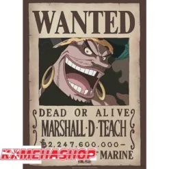 One Piece - Affiche Wanted Blackbeard Marshall.D.Teach