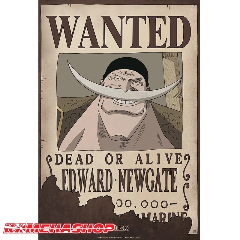 Poster Wanted Barbe Blanche 1 Poster Wanted Barbe Blanche